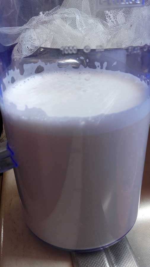 Γάλα-αμυγδάλου 12 mamameli